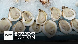 Oyster festival becoming a popular tradition in Newburyport