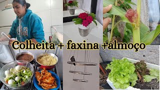 FARTURA NA MINHA HORTA EM VASO / VISITA INESPERADA /ALMOÇO / FAXINA NA COZINHA / NOVAS DECORAÇÃO