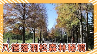 2020 Taoyuan Bade Taxi Forest Secret Realm,Taoyuan Tourist Attractions,Taiwan Tourism