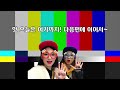 talk 4년차 워홀러가 말하는 호주 tmi 4탄 날씨 벌레 동물 야생동물 반려동물