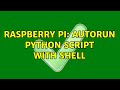 Raspberry Pi: Autorun Python script with shell