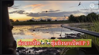 ต่อนกเป็ด ซุ่มยิงนกเป็ด(ต่างประเทศ)🦆🦆EP3 ซ้ำหมายนาร้าง หมานคือเก่าครับ👍👍👍