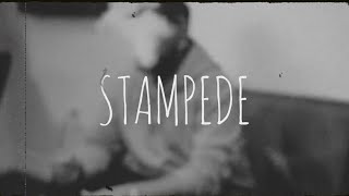 L.O Heemz - Stampede (Official Music Video)