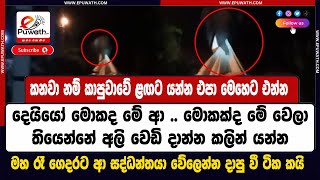 ePuwath | මහ රෑ ගෙදරට ආ සද්ධන්තයා වේලෙන්න දාපු වී ටික කයි