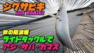 【防波堤】ジグサビキ『ライトタックルでアジ・サバ・カマスを釣る！』後半戦(次回)はエギングです！