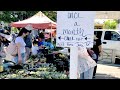 Mountain View Farmers' Market Plant Store