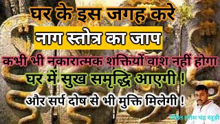 नाग स्तोत्र का जाप करने से घर में कभी भी नकारात्मक शक्तियों वाश नहीं होगा | सर्प दोष के अचूक उपाय ||