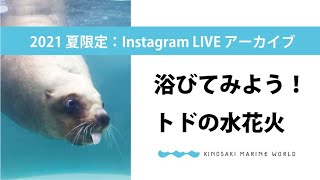 夏ライブ：浴びてみよう！トドの水花火！