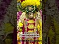 arulmigu thiyagarajaswamy vadivudaiamman temple arudra festival