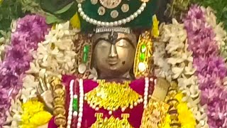 arulmigu thiyagarajaswamy vadivudaiamman temple arudra festival