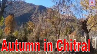 Beautiful Chitrali Sitar Voice with places of my beautiful Chitral | November 2022 | Autumn seasons