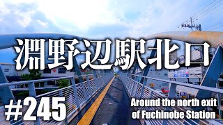 #245【4K】淵野辺駅北口周辺