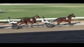 Mildura Harness Racing Club- 8 Jan 2025 Trial 3