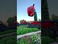 beautiful natural flowers 💐 miracle garden dubai miraclegarden dxbramjivlogs love trending