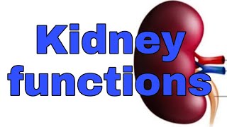 #winnersedutalk /#kidneyfunctions /#biologylectures