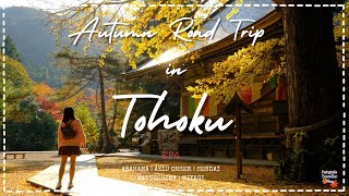 Autumn Road Trip in Tohoku ใบไม้เปลี่ยนสีที่โทโฮคุ🍁 EP4 เก็บแอปเปิ้ลJR fruit farm , Matsushima