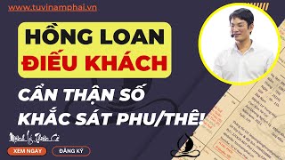 BÍ MẬT VỀ HỒNG LOAN ĐIẾU KHÁCH | TỬ VI LÊ QUANG LĂNG | TỬ VI NAM PHÁI | MỆNH LÝ THIÊN CƠ