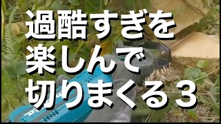 やっと終わったー！カクレミノ！過酷すぎるのに楽しい、友人宅の剪定作業！ part３