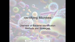Bacterial Identification Methods