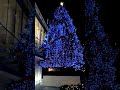 2018年 クリスマスツリー　ピカール青山骨董通り店（aoyama christmas tree）