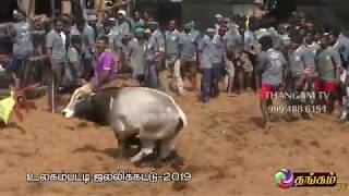 ulagampatty jallikattu 2019 - part - 3/3