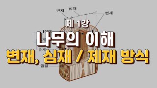 [우드슬랩 #1] 나무의 이해, 변재, 심재/제재 방식에 대해 설명 해드리겠습니다.