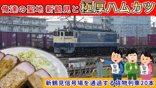 【俺達の聖地】新鶴見信号場を通過する貨物列車20本【極厚ハムカツ】