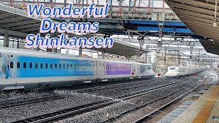 Wonderful Dreams Shinkansen  奇跡のスプリンクラーとの演出に鉄道＆ディズニーファンが感嘆！