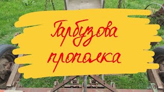 Огляд гарбузової прополки, краще ніж сапа на 1000%, наш прополочний агрегат