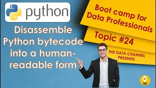Disassemble Python bytecode into a human-readable form | Topic #24
