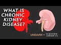 What is Chronic Kidney Disease and how does dialysis work?