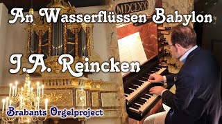 J.A. Reincken - \