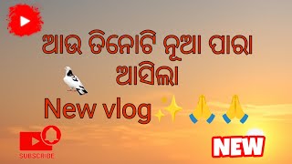 ଆଜି ଆସିଲା ଆଉ ତିନୋଟି ପାରା NEW //@S.S.pigon.tips_ 🙏✨♥️🙏✨♥️