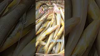 Namkhana siddikiya fish maeket || নামখানা মাছের বাজারে বিভিন্ন মাছের দাম জুলাই 2023 || HIlsa fish