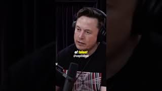 Elon Musk On Why You Should NOT Study Finance/Law