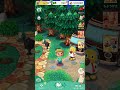 【ポケ森】プルメリア付きかいがらが貯まったので報酬を受け取ったそのこてちこanimal crossing pocket camp