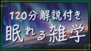 【眠くなる男性AIの声】最速でぐっすり眠れる雑学朗読【睡眠用・睡眠BGM】