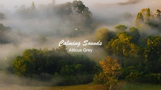 foggy retreat - a playlist of calming sounds for relaxation