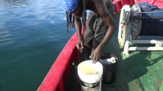 Fishing in St Goerges, Grenada, Caribbean Island