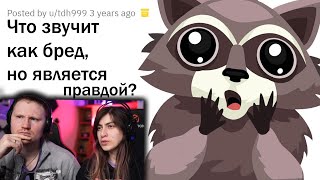 РЕАЛЬНЫЕ ФАКТЫ, КОТОРЫЕ ЗВУЧАТ КАК ЛОЖЬ | РЕАКЦИЯ на апвоут