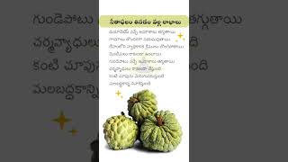 సీతాఫలం తినడం వల్ల ఆరోగ్య ప్రయోజనాలు | Health Benefits Of Custard Apple In Telugu