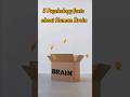 5 Psychology facts about Human Brain🧠(part 4) #brain #neuroscience #brainhealth #psychologyfacts