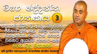 වෛරය නිසා ස්වාමියා මැරුවත්, දුක දරාගත නොහැකිව හදවත පැලී ඇයත් මියගියා|Koralayagama Saranathissa Thero