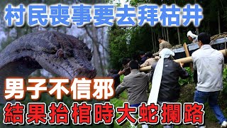 村民喪事要去拜枯井，男子不信邪，結果抬棺時大蛇攔路  說故事的小琪 #民間故事