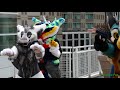 anthrocon 2016 random clips