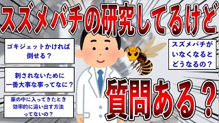 スズメバチの研究してるけど質問ある？【2ch面白いスレ】【ゆっくり解説】