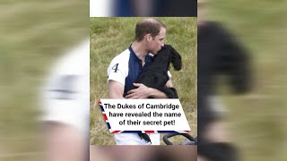 The Dukes of Cambridge have revealed the name of their secret pet! #shorts