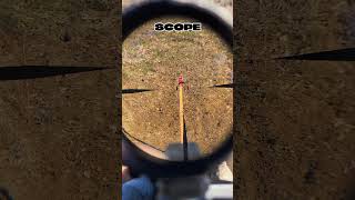 WHAT A SHOOTER SEES THROUGH THE SIGHT🤔 #shooter #shot #sight #shooting #scope #sniper #reshoot