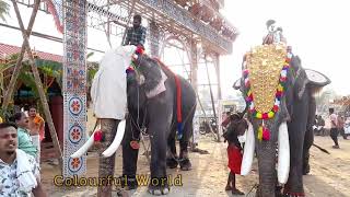 കൊമ്പന്മാരുടെ അലങ്കാരങ്ങൾ മാറി പോയപ്പോൾ//#elephant