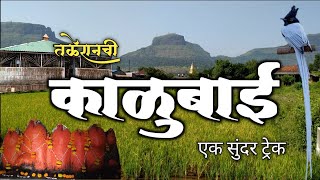 काळुबाई | हिरव्यागार निसर्गात असलेली तळेरानची काळूबाई | Taleranchi Kalubai | kalubai Trek |